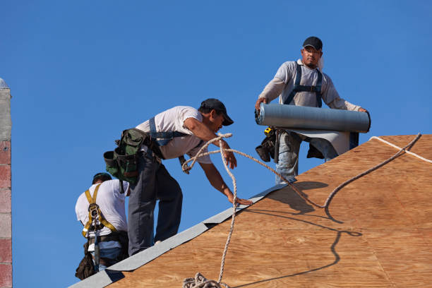 Best Gutter Installation and Roofing  in Covedale, OH
